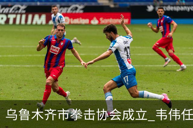 乌鲁木齐市拳击协会成立 韦伟任会长